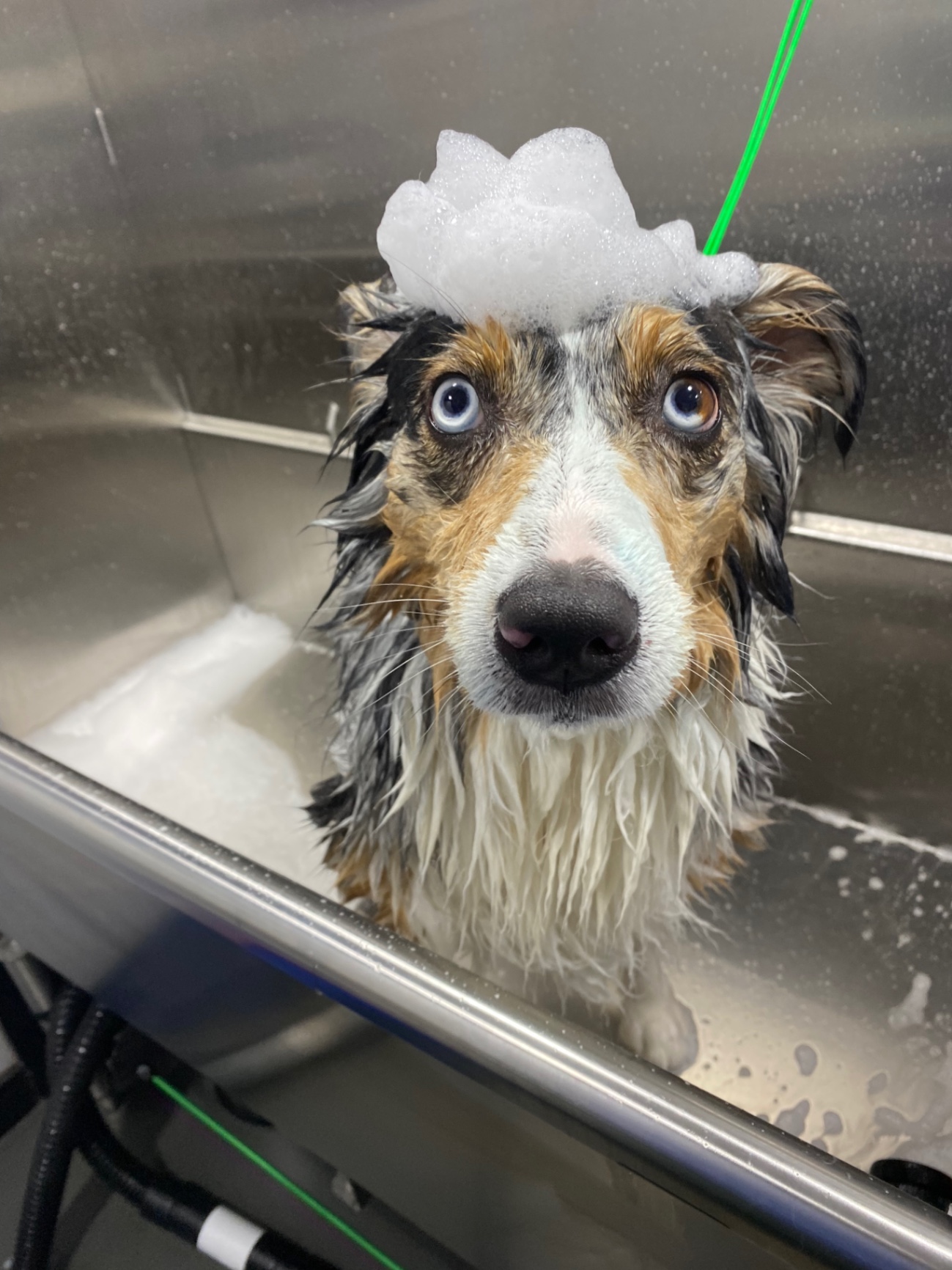 Kira in bath with bubbles